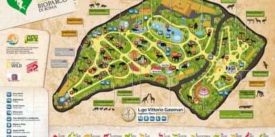 O mapa de Roma zoo 